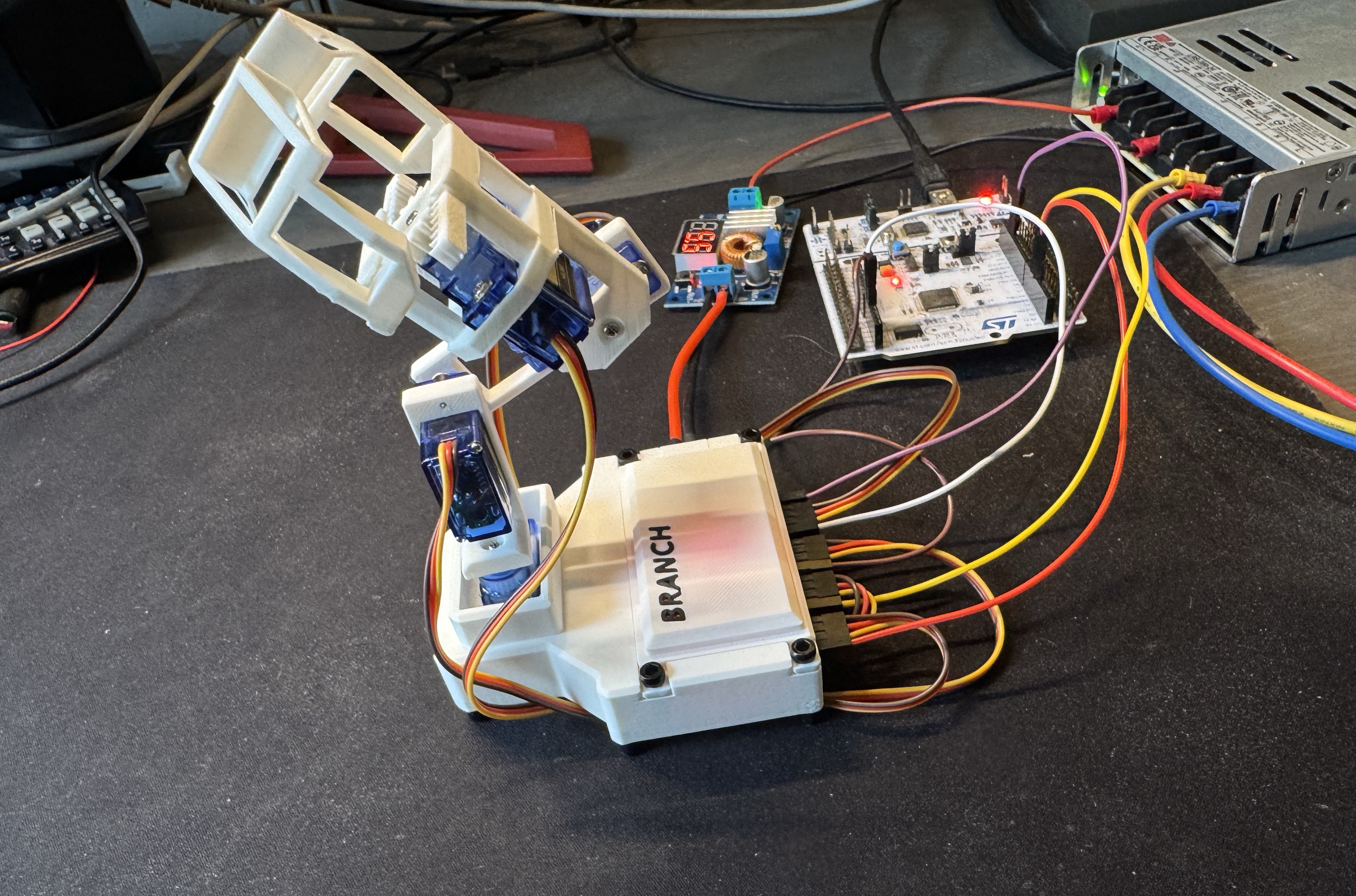 CUDA Boid Swarms